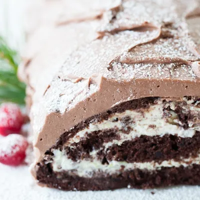 Festive Yule Log