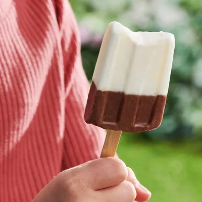 Chocolate Yogurt Pudding Pops