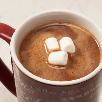 Cinnamon Hot Chocolate