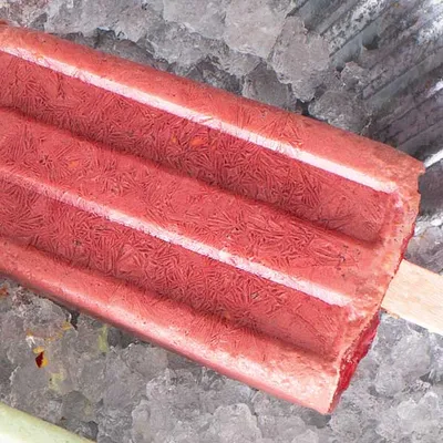 Cocoa Acai Smoothie Pop